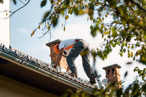 Best Sealant for Roof  in Vienna, GA