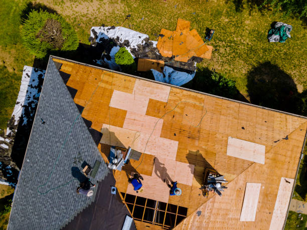 Best Gutter Installation and Roofing  in Vienna, GA